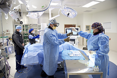 EMC Physician Continued Education Cadaver Lab